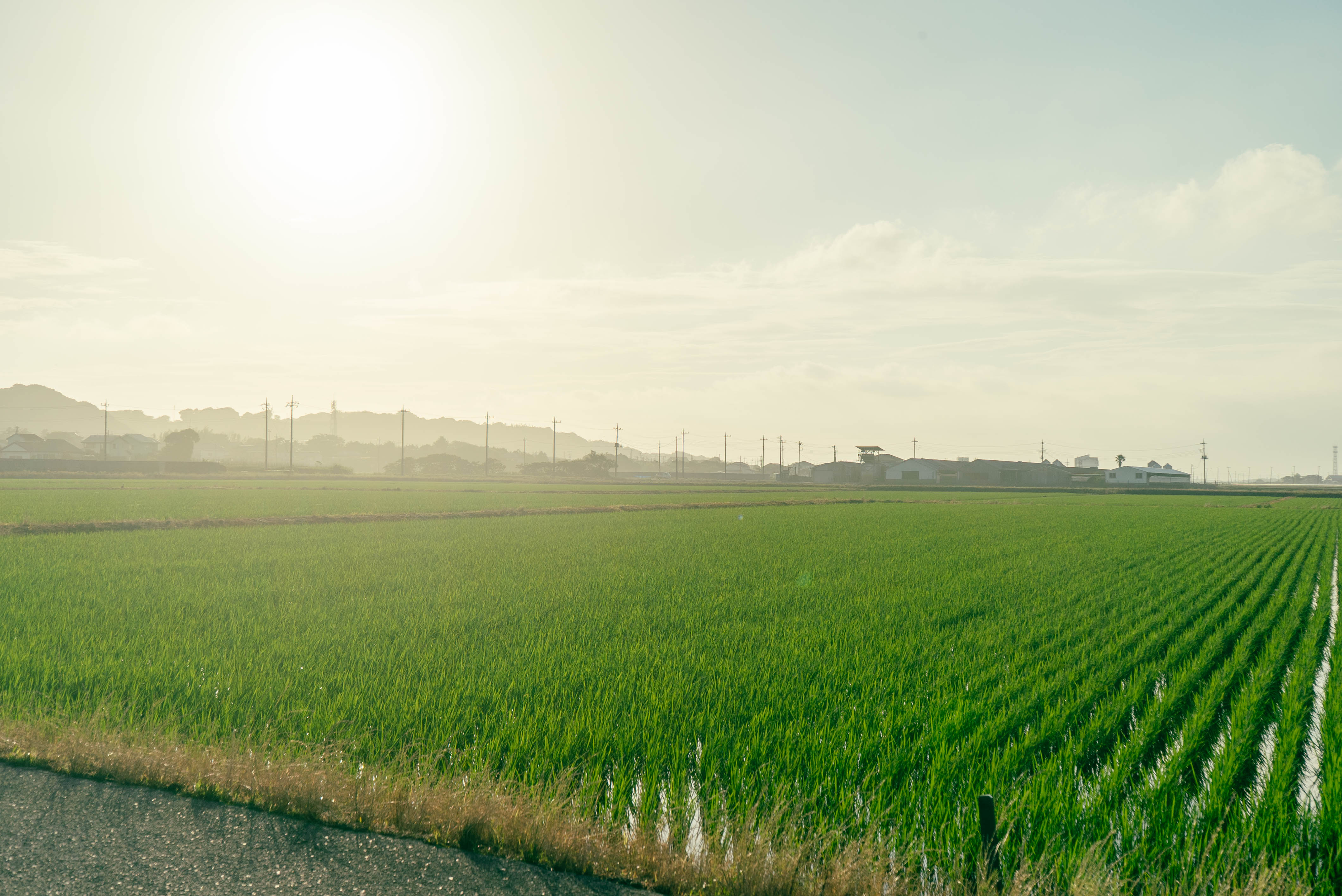 千葉県香取郡の田園風景・水田・ロケ撮影地